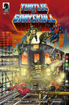 Masters Of Universe Teenage Mutant Ninja Turtles Turtles Of Grayskull #2 Cover C Rubin