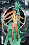 Absolute Green Lantern #5 Cover D 1 in 25 Alex Eckman-Lawn Card Stock Variant