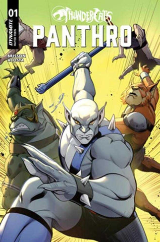 Thundercats Panthro #1 Cover C Robert Quinn Variant