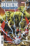 Incredible Hulk #25 25 Copy Variant Edition Paulo Siqueira Variant