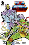 Masters Of Universe Teenage Mutant Ninja Turtles Turtles Of Grayskull #4 Cover B Fiffe