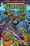Teenage Mutant Ninja Turtles Saturday Morning Adventure #24 Cover B Neo