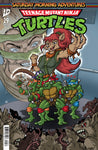 Teenage Mutant Ninja Turtles: Saturday Morning Adventures #29 Variant C (Conde)