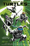 Teenage Mutant Ninja Turtles TPB Volume 01 Return To New York