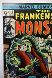 Frankenstein #14