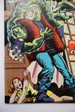 Frankenstein #14
