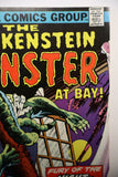 Frankenstein #14