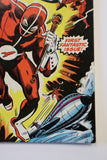 The Human Fly #1