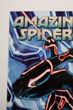 Amazing Spider-Man #651 (Mark Brooks Tron Variant)