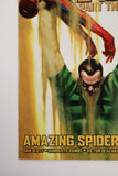 Amazing Spider-Man #684 (Gabrielle Dell'Otto Variant)