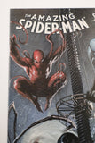 Amazing Spider-Man #13 (Gabrielle Dell'Otto Spider-Verse Variant)