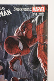 Amazing Spider-Man #14 (Gabrielle Dell'Otto Spider-Verse Variant)