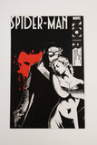 Spider-Man Noir #2 (Variant)