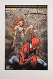 Spider-Man/Red Sonja #2 (Micheal Turner Variant)