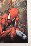 Spider-Man/Red Sonja #2 (Micheal Turner Variant)