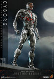 Cyborg Sixth Scale