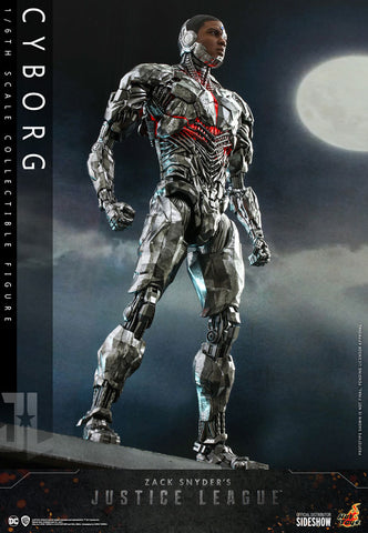 Cyborg Sixth Scale