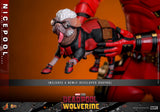 Nicepool Sixth Scale Figure Hot Toys