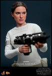 Padme Amidala Hot Toys Sixth Scale figure