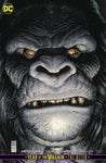 JUSTICE LEAGUE #27 CARD STOCK YOTV VAR ED THE OFFER